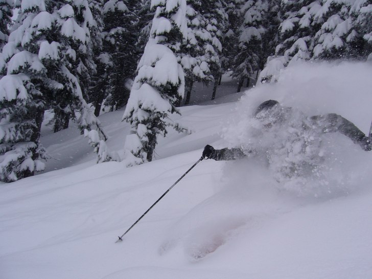 Foto: John Hallgren. Åkare: Nils Hallgren.