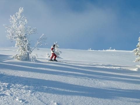 Foto: Patrik Schander. Åkare: Malin Rosenkrantz.