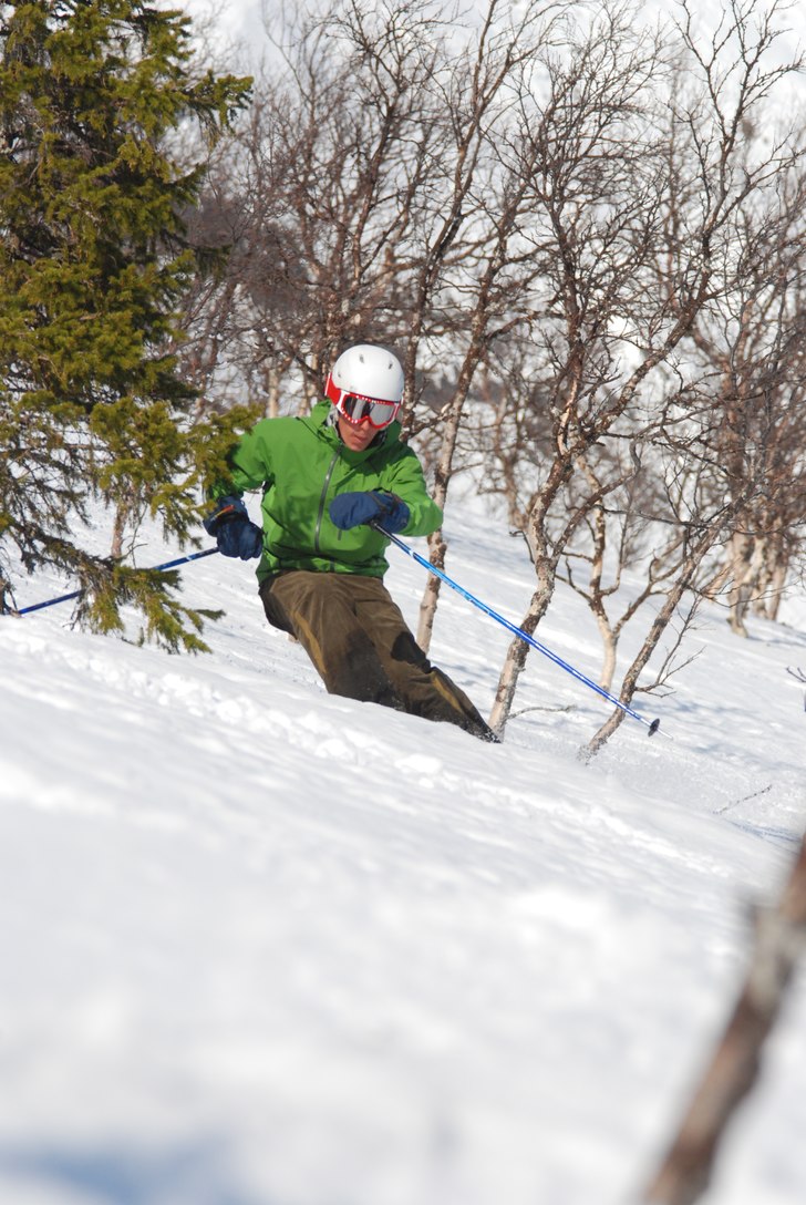 Skogen i Kittel. Foto: Erik Westberg. Åkare: Rickard Ivarsson.