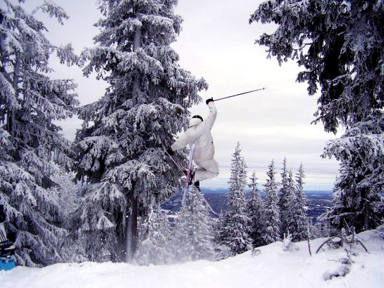 Tailgrab. Foto: Bitte. Åkare: Johan Sers.