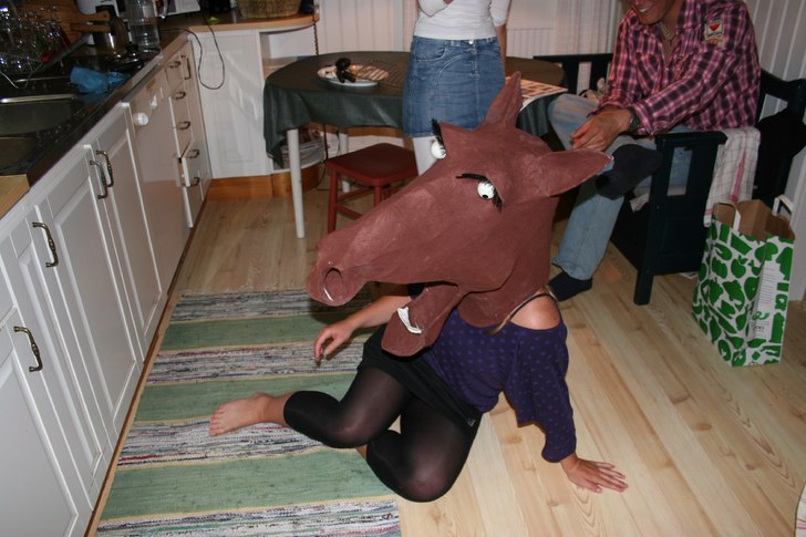 Foto: Jessica. Åkare: Fyllehästen.