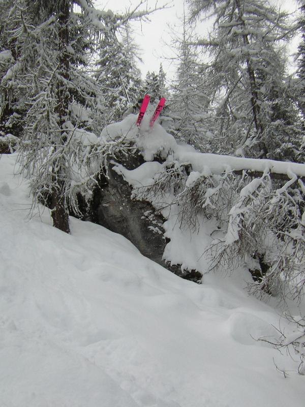 Foto: Joakim Friberg. Åkare: Anders Hansén.