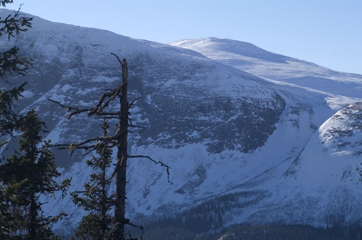 Foto: Patrik Brynielsson.