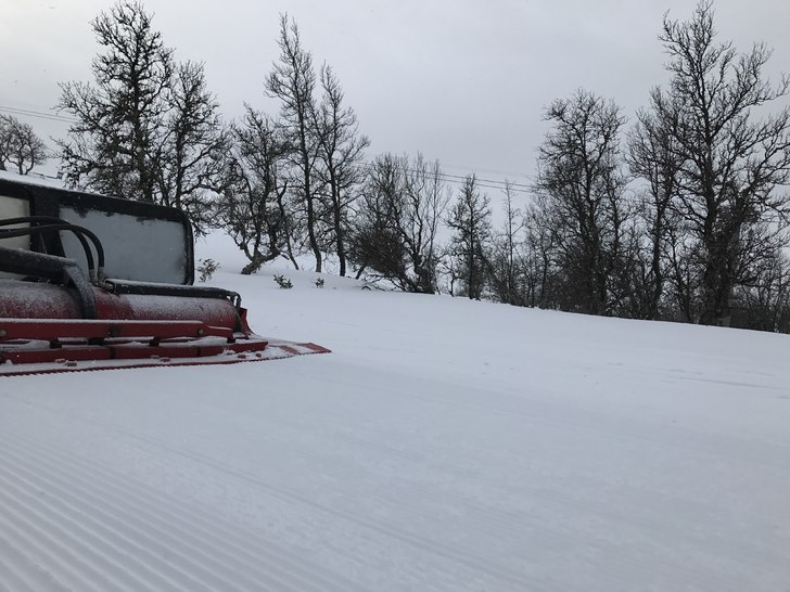 Fine forhold idag????
Fra +6 i går til -1 og fine.
