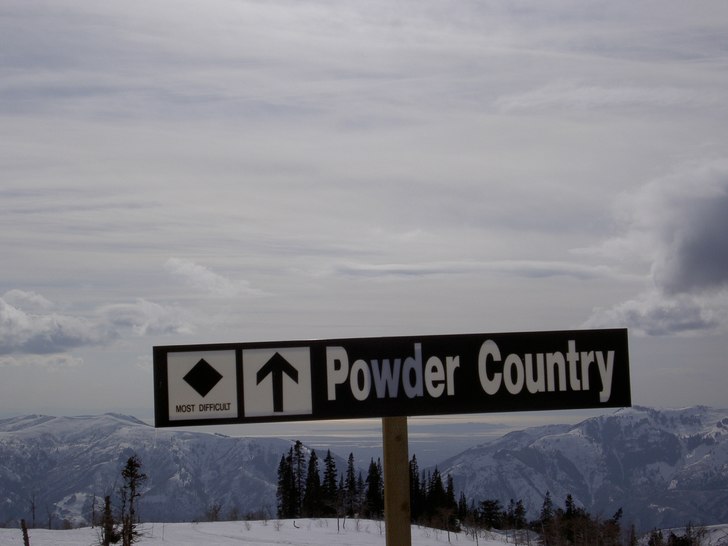 Foto: Therése Nyström.