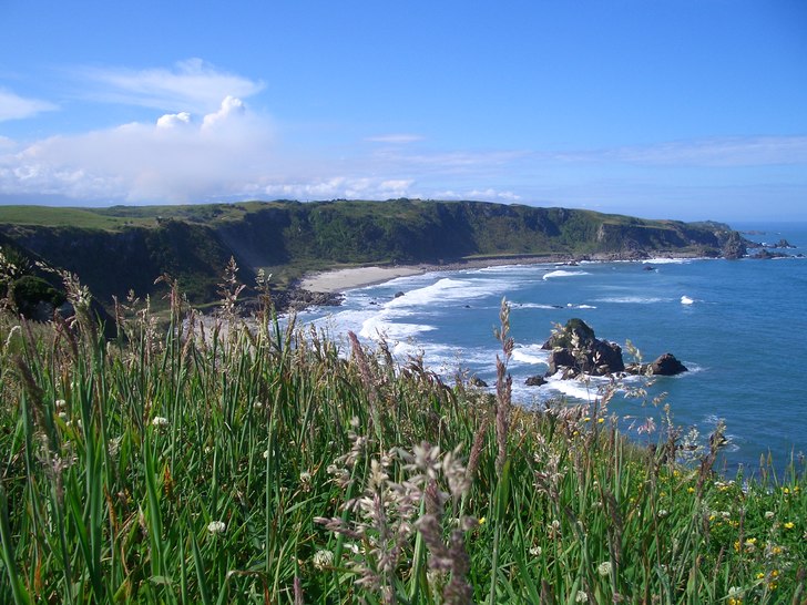 Favvoställe. Foto: Anna-Karin Olausson.