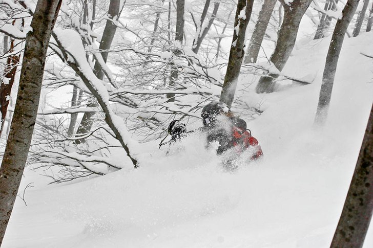 Ibland är det snorkeldjupt i de japanska skogarna. Foto: Alexander Thurban. Åkare: David Clemensson.