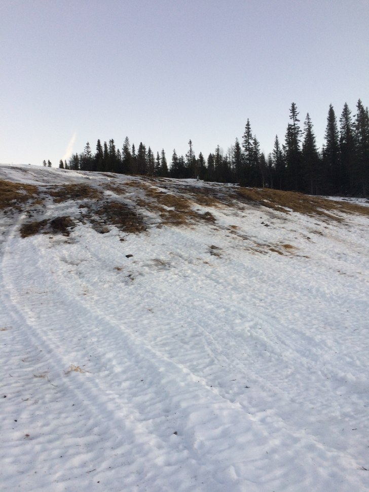 Mildvær
Mildværet fortsetter og snøen minker. D.