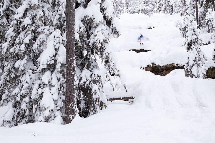 Skogsåkning med Jacob i Moraskogen.. Foto: Andreas Timfält. Åkare: Jacob Gustafsson.
