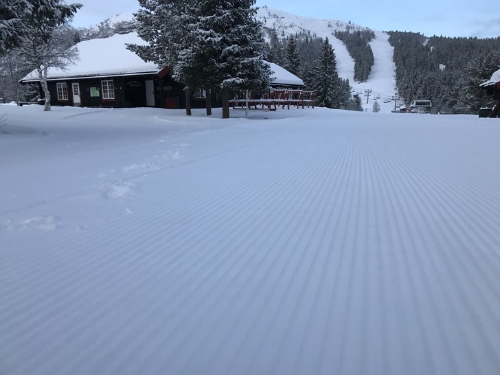 14 cm med nysnø!!
.