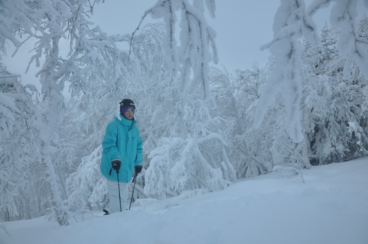 Foto: Arvid Sandberg. Åkare: David Inglander.