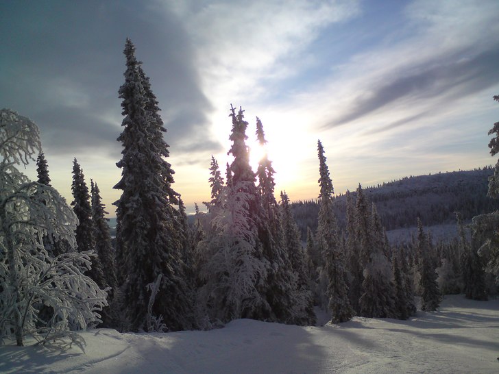 Foto: emma sjöblom.