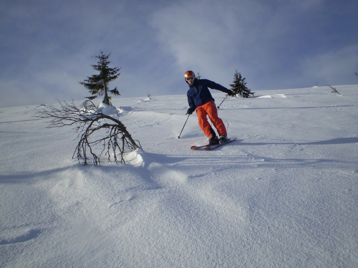 Foto: Elin Gustavsson. Åkare: Oscar Gustavsson.