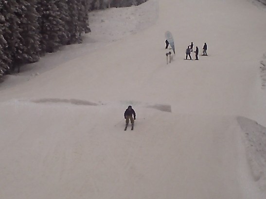 Foto: Niklas Eriksson. Åkare: Anton Tillman.