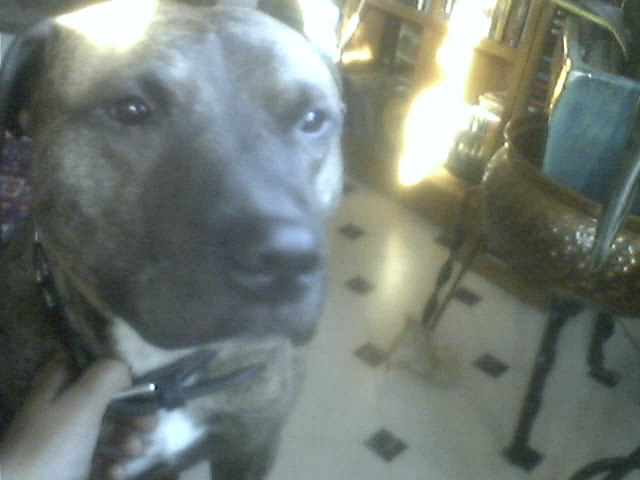 Foto: min cam. Åkare: zeroz.