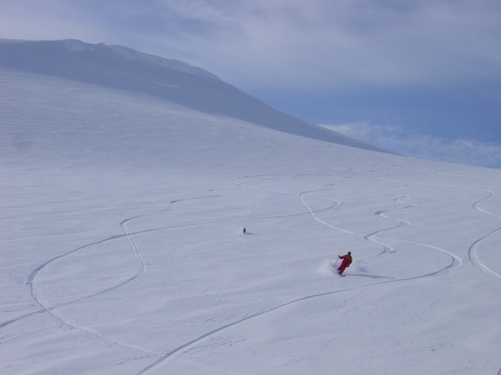 Foto: krister jonsson. Åkare: Studspappa + lavinhund.