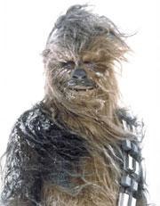 Star Wars-skägg. Foto: Itzhak Skenström.