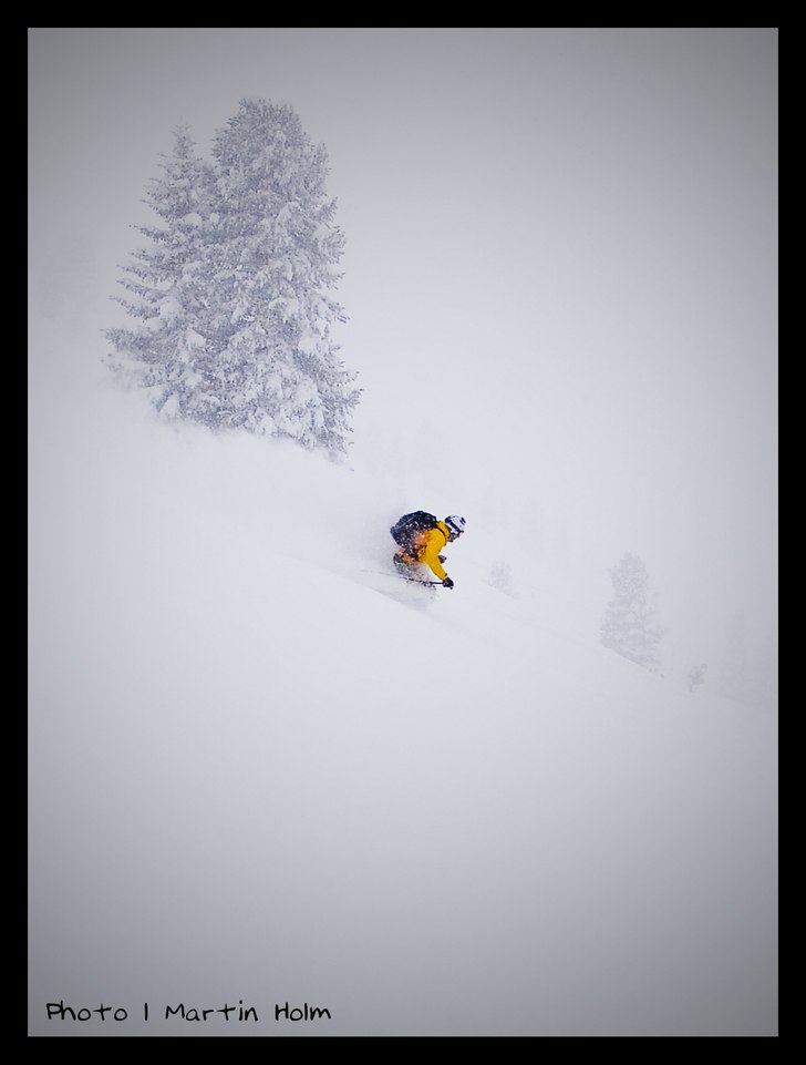 Foto: Martin Holm. Åkare: Christian Åkesson.