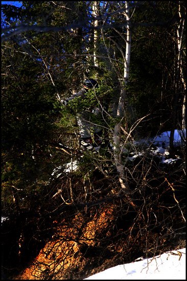 Gunnervall gillar träd, han ser alltid nya linjev. Foto: Carl-Olov Neider. Åkare: Anders Gunnervall.