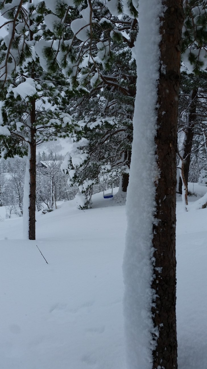 Snødjupe på Nordvestlandet
Mykje røl frå anleg.