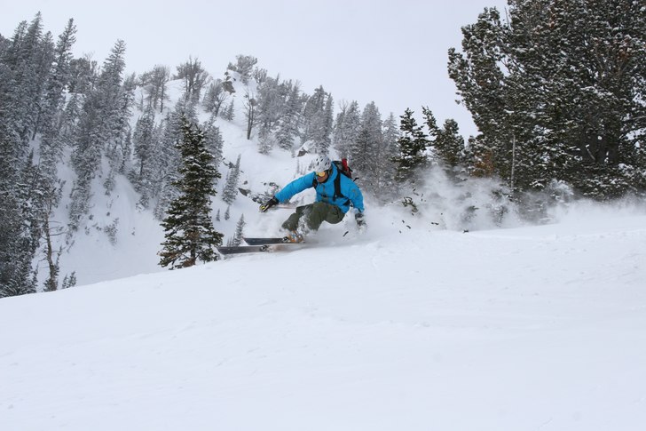 Storslalom mellan granarna i Jackson Holes backcou. Foto: Andreas Larsson. Åkare: Thomas Wuopio.