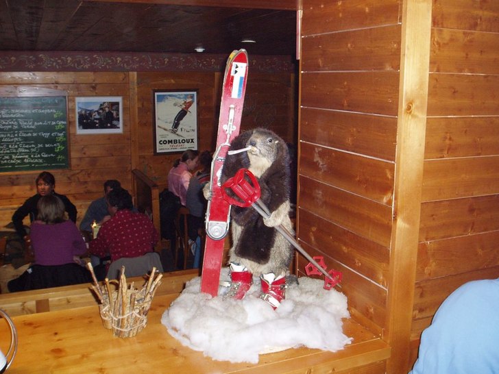 Foto: Lillasyster. Åkare: Lunchpaus!.