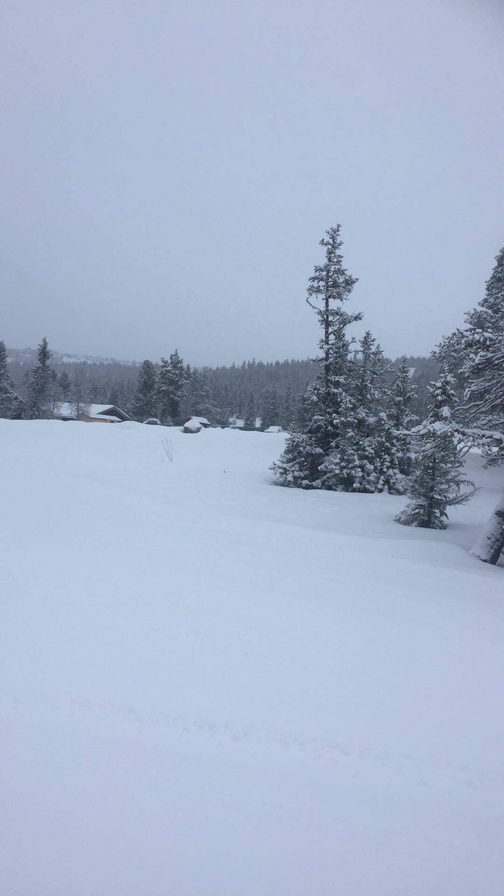 Nysnø og fnugg i lufta 
.