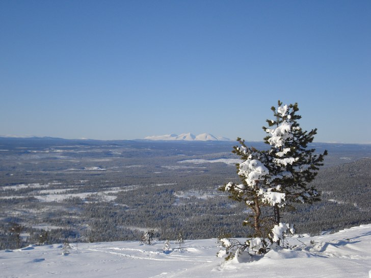 Foto: Axel gillberg.