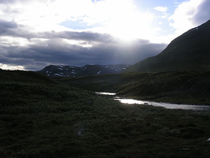 Foto: Anders Nyström.