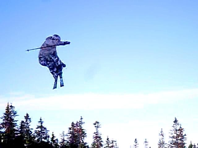 Meg:D. Foto: Ola Helmersen. Åkare: Jørgen Hagen (Hagenmeister).