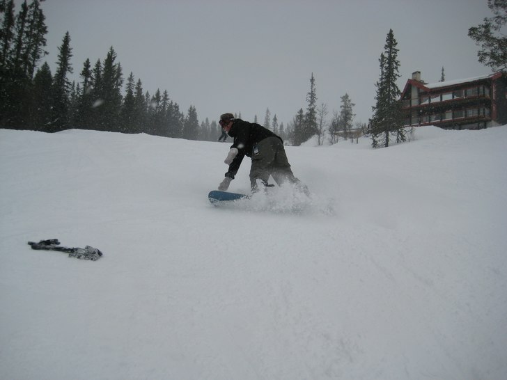 Foto: Rosie. Åkare: Ami.