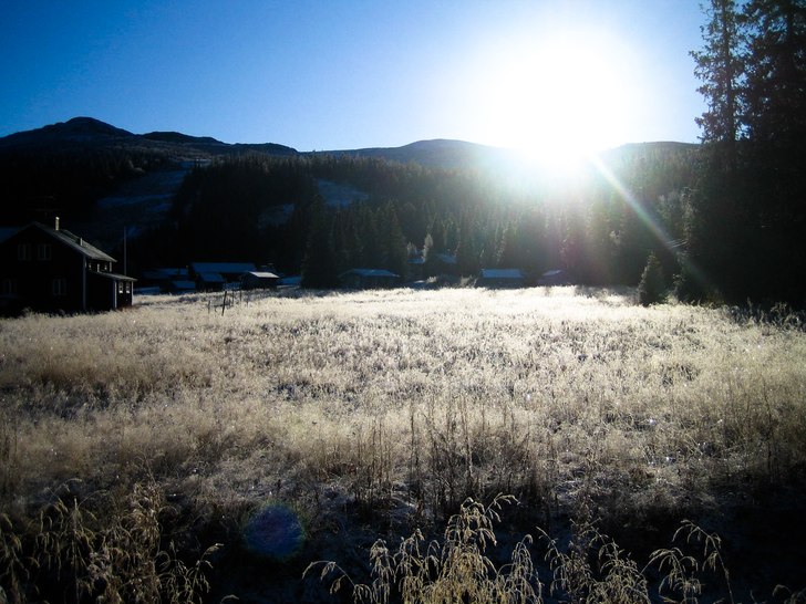 Vintern är på gång..... Foto: Hedda Olsson. Åkare: Solen.