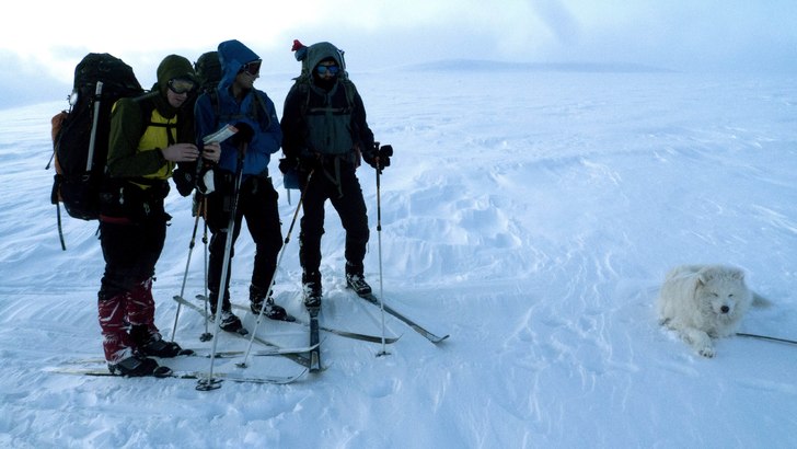 2012. Foto: Henrik Ohlsén. Åkare: Mikael Persson, David Larsson, Staffan Rosvall och Nikita.