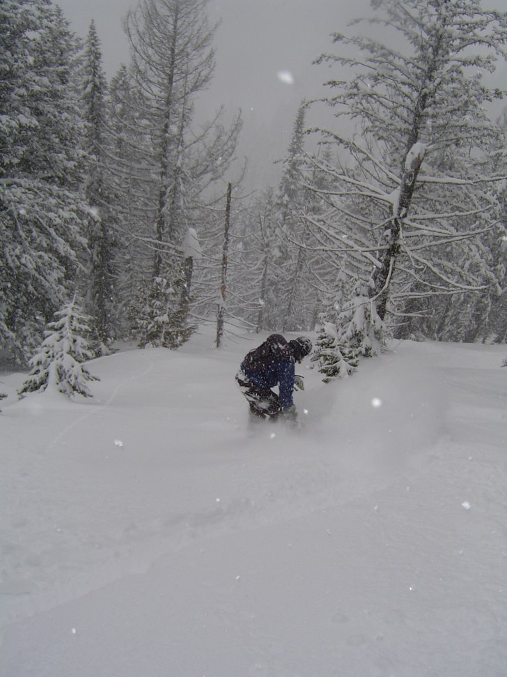 Puder i Fernie, ubderbart!!. Foto: Filip Gepertz. Åkare: Jens Sundquist.