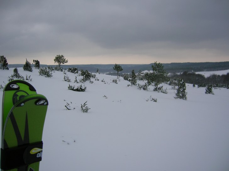 Foto: Erik Blomqvist.