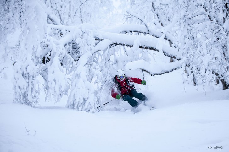 Foto: Aivas Krapavicius. Åkare: Lisa Lind.