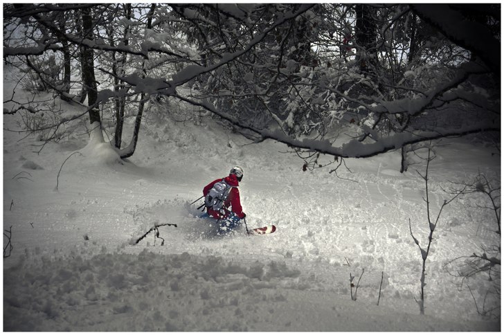 Skogeliskog. Foto: Christian Eriksson. Åkare: Filip Kuttner.