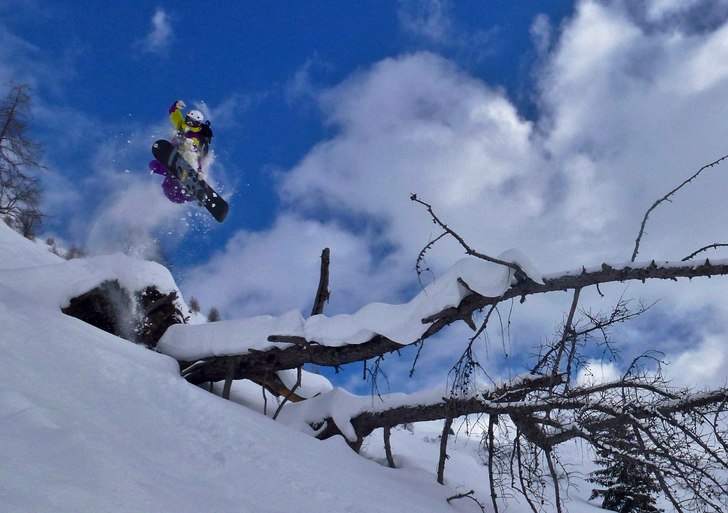 Foto: Nives Hollsten. Åkare: Niklas Hollsten.