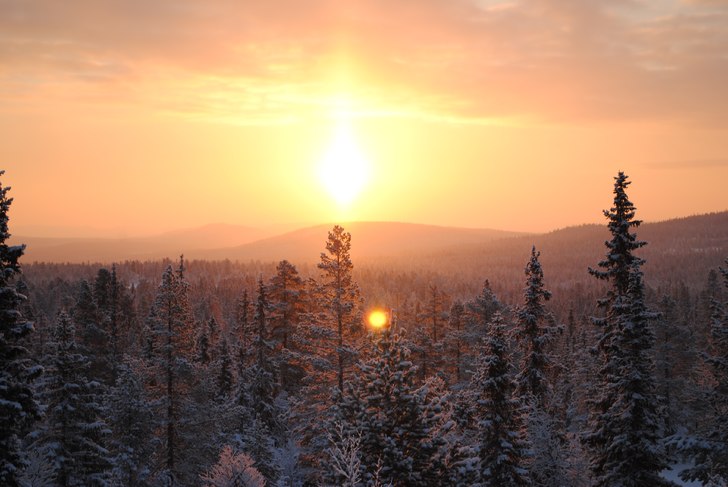 Foto: Linn Östlund.