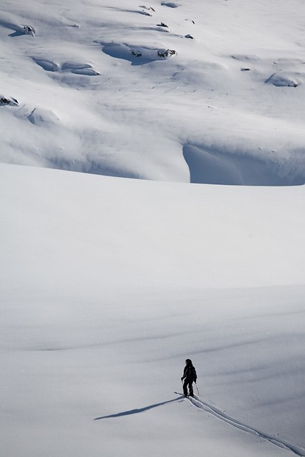 Foto: Johan Yveborg. Åkare: Johan Isaksson.