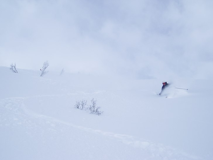 Foto: Erik Berglund. Åkare: Johan Kista .