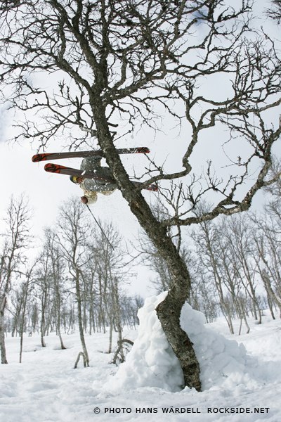 klättrar i ett träd. Foto: Hans wärdell. Åkare: Tobias björk.