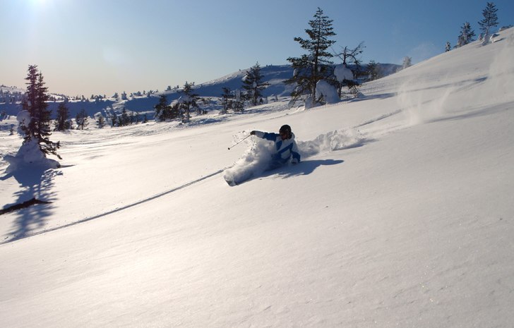 Foto: Marcus Wallström. Åkare: Peter Larsson.