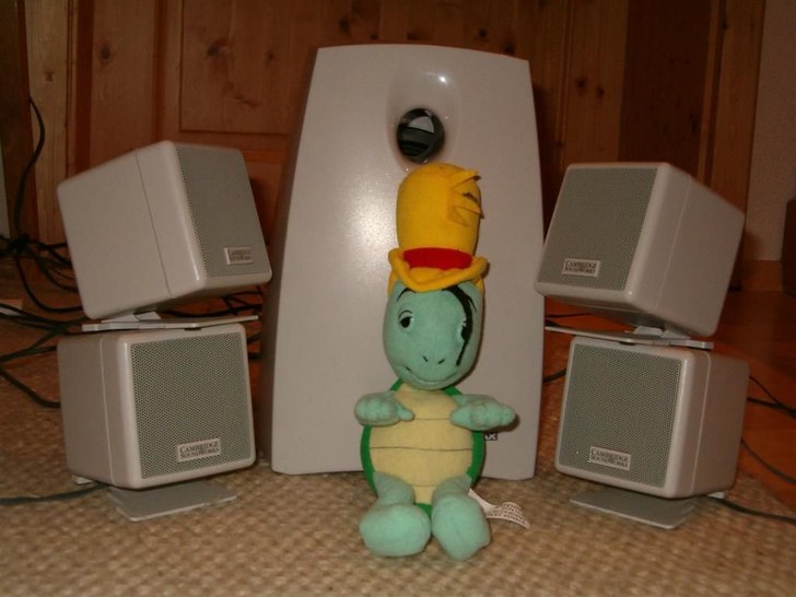 Skalman rockar fett!. Foto: Jesper Nilsson. Åkare: Skalman.