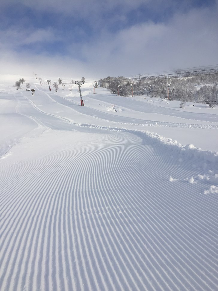 30 cm ny puddersnø på Furehogane i dag!
 Endelig.