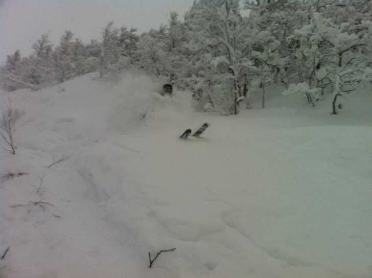 Gustav kollar om snön är OK. Foto: pappa. Åkare: Gustav fält.