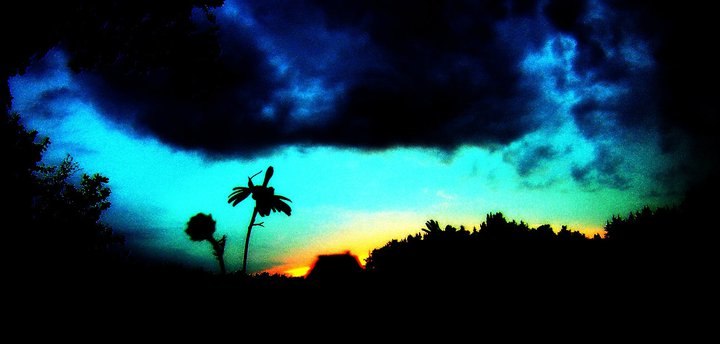 gopro photos. Foto: jag.