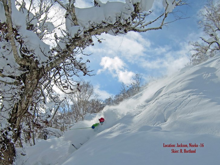 Jackson Area Niseko.