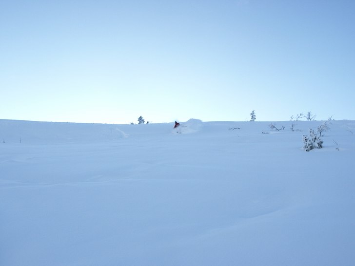 Foto: Johan Johansson. Åkare: Mattias Åberg.