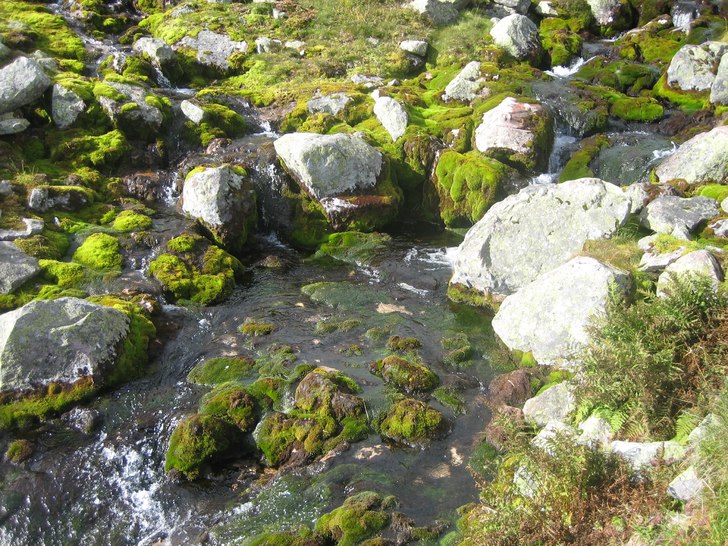 Bäck i Norge.... Foto: Sara Pehrs.